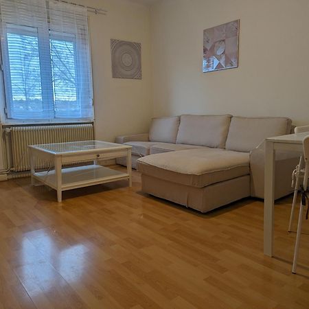 Le Balois - Appartement 2 Chambres, Salon, Cuisine Equipee, Parking Et Wifi Gratuit Mulhouse Luaran gambar