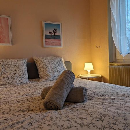 Le Balois - Appartement 2 Chambres, Salon, Cuisine Equipee, Parking Et Wifi Gratuit Mulhouse Luaran gambar