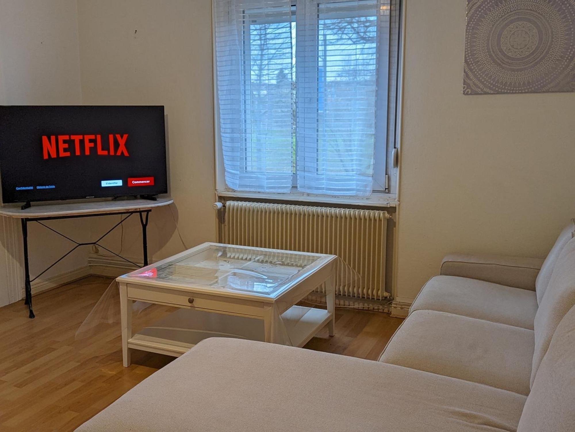 Le Balois - Appartement 2 Chambres, Salon, Cuisine Equipee, Parking Et Wifi Gratuit Mulhouse Luaran gambar