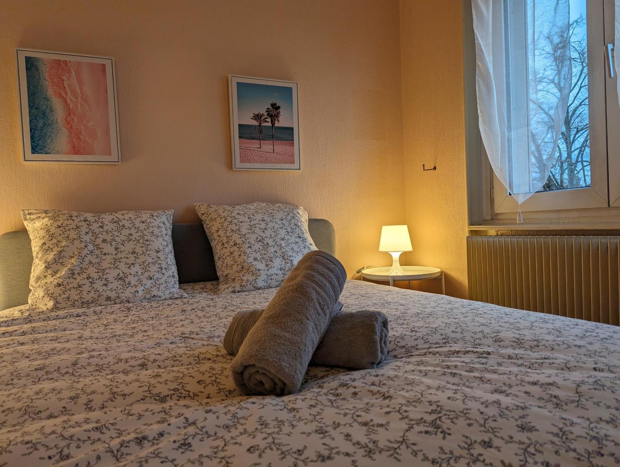 Le Balois - Appartement 2 Chambres, Salon, Cuisine Equipee, Parking Et Wifi Gratuit Mulhouse Luaran gambar